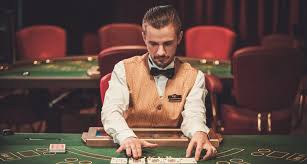 Вход на официальный сайт Pelican Casino